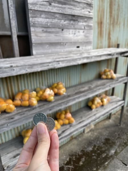 いたるところに無人販売所がある