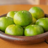 超極早生温州みかん