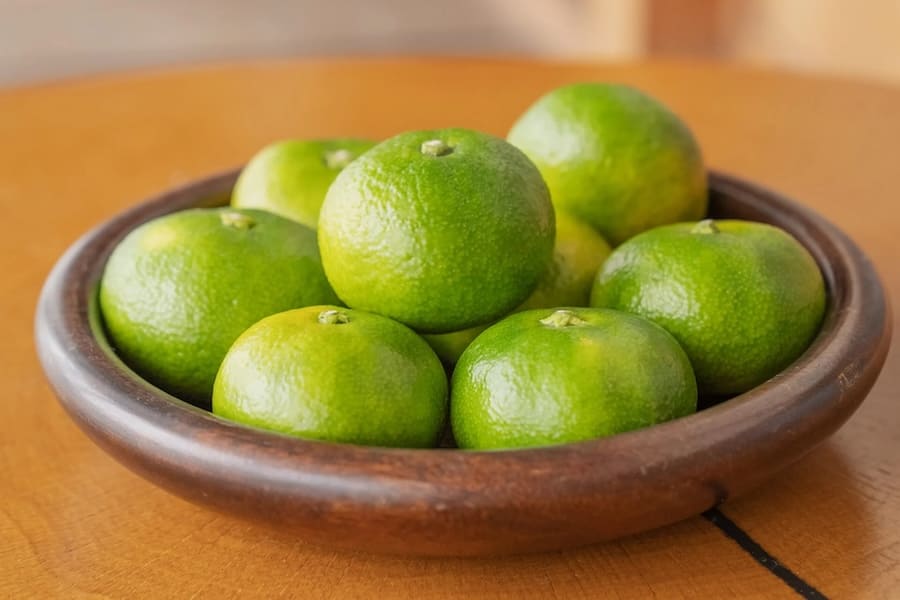 超極早生温州みかん