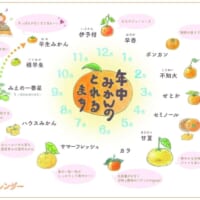 みかんカレンダー