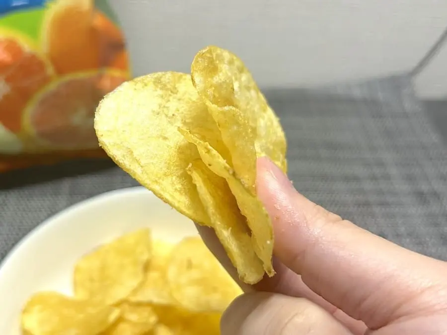 和歌山県のご当地「みかんポテチ」に衝撃 人生初の体験でパニック「な