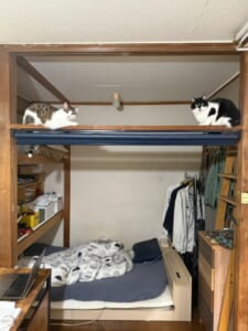 狛犬ならぬ狛猫？　就寝スペースに鎮座する二柱の守り神は猫