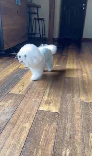 一旦通常歩行モードに