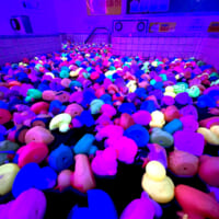 妖しく光るアヒルが浴槽を埋め尽くす