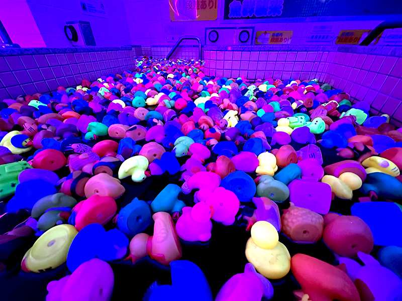 妖しく光るアヒルが浴槽を埋め尽くす
