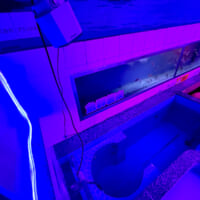 脳に語りかけるようなアナウンスが降ってくる立ち湯