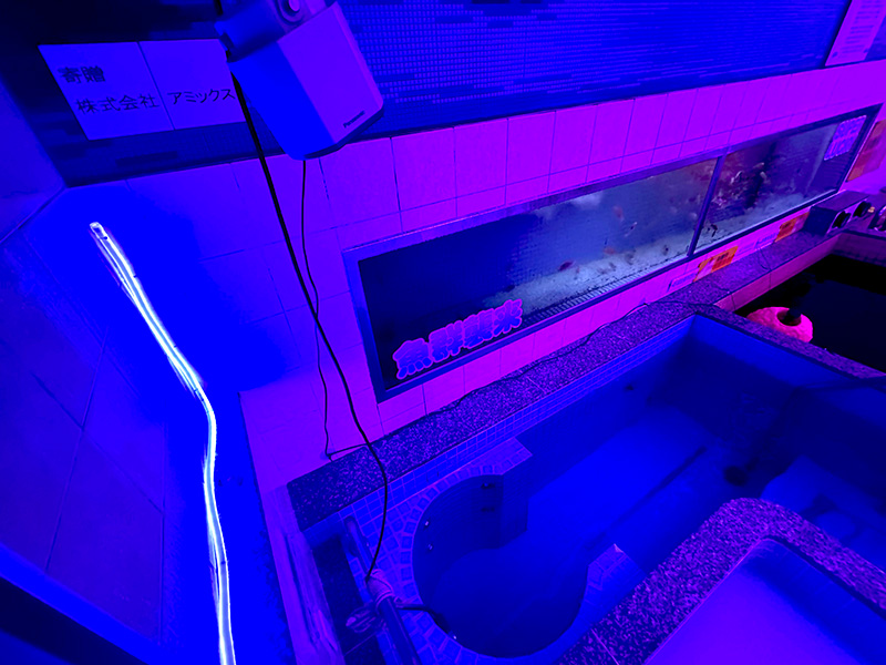 脳に語りかけるようなアナウンスが降ってくる立ち湯