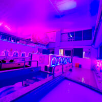 浴槽から眺めた「脳汁銭湯」の風景