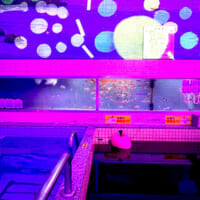 浴室内の水槽はもともと改正湯に設置されているもの