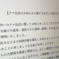 善意の通報が“誤報”に変わるAI時代　女川町のクマ騒動が示した危険性