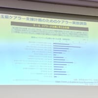 ケアラーの実態調査