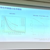 生存率は大幅に伸長