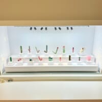 古田さんのコレクション