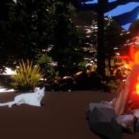 たき火のそばに現れる猫との穏やかな時間