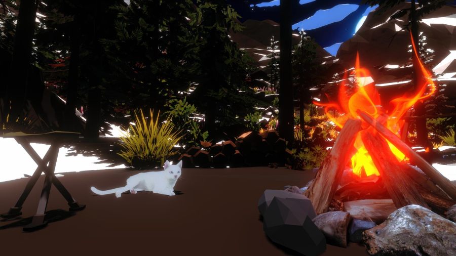 たき火のそばに現れる猫との穏やかな時間