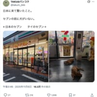 タイと日本のセブン−イレブン、店先に広がる“決定的な違い”が話題