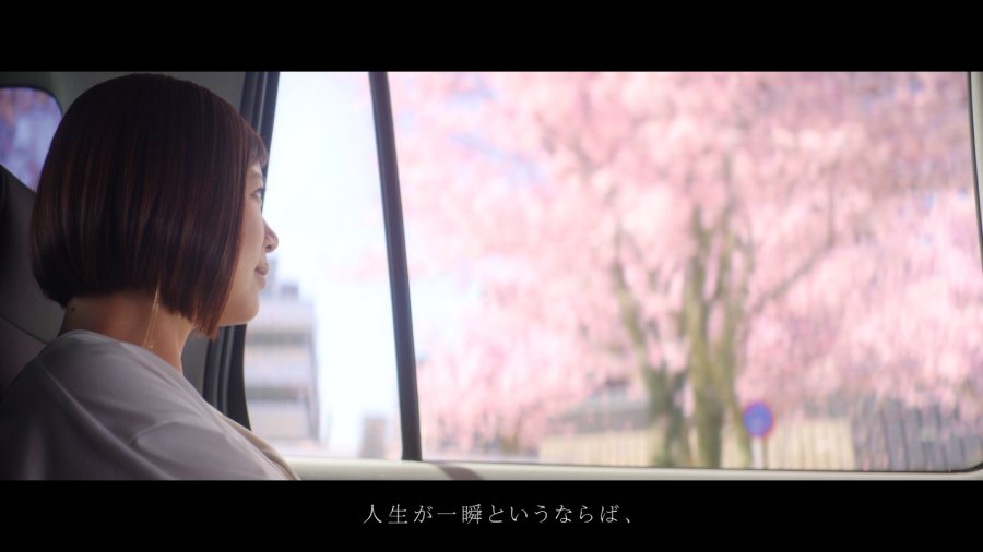 風景がファンタジックに変化していく様子が描かれます