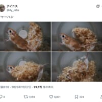 アイニスさんの投稿