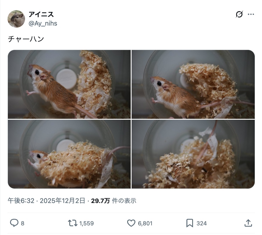 アイニスさんの投稿