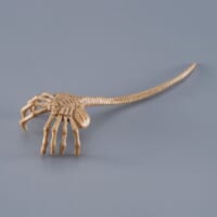 フェイスハガーは取り外し可能