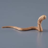 エッグ＆チェストバスター