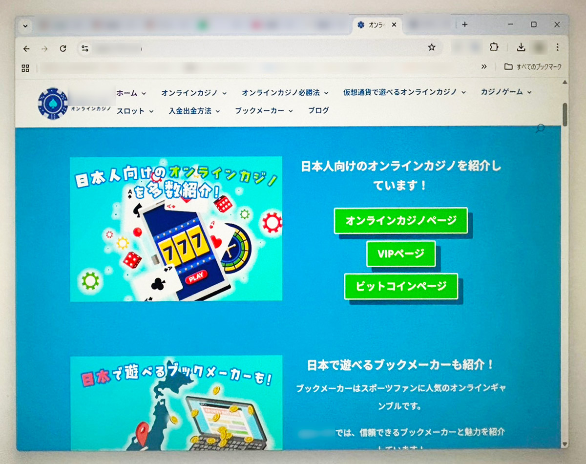 誘導されたランディングページ