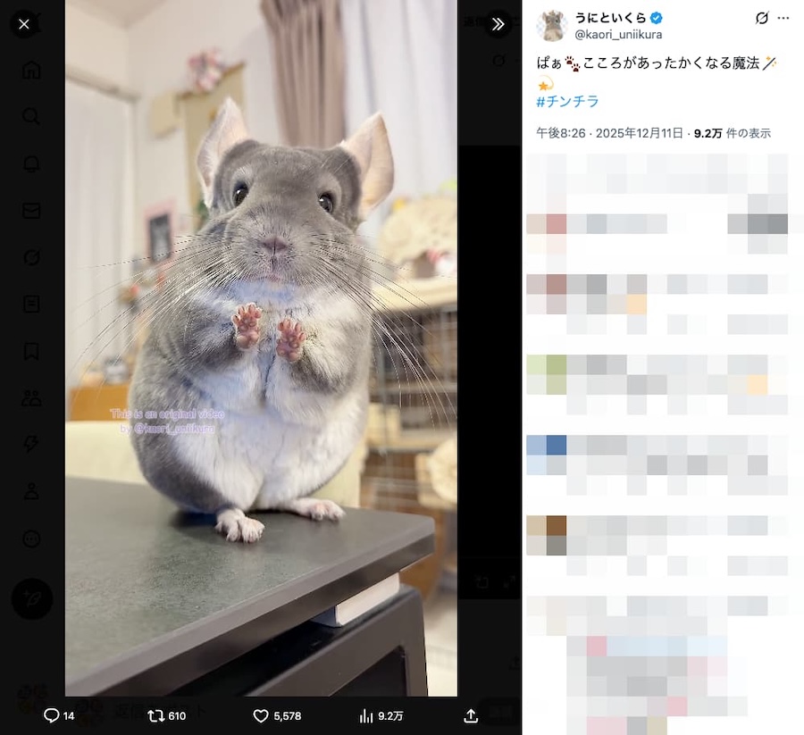 手をかざすいくらちゃん