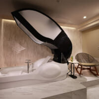 ミライ人間洗濯機