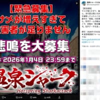 温泉シャーク公式X