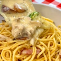 パンチョの極太麺にたっぷりのシチューナポを絡めて