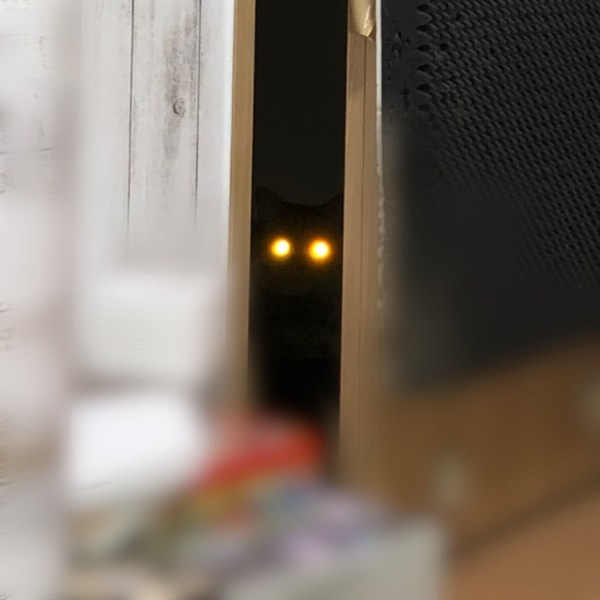 見事な「目からビーム」写真