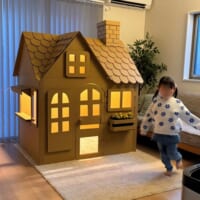 廃棄するダンボールをパパが本気で加工　完成したダンボールハウスのクオリティが高すぎる