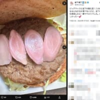 岩下和了さんの投稿