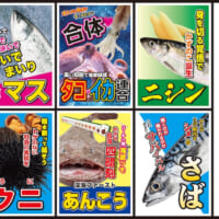 北海道豊浦町 第4回 海産総選挙