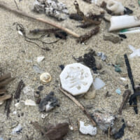 海岸に落ちていた最後の1駒