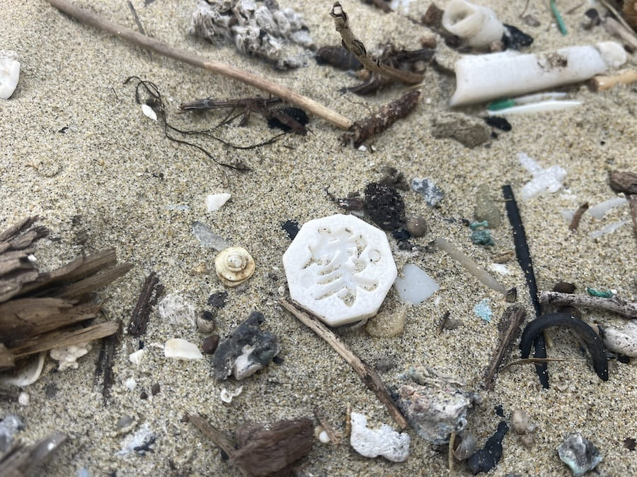 海岸に落ちていた最後の1駒