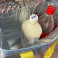 1.5リットルのペットボトルも楽々入るサイズ感