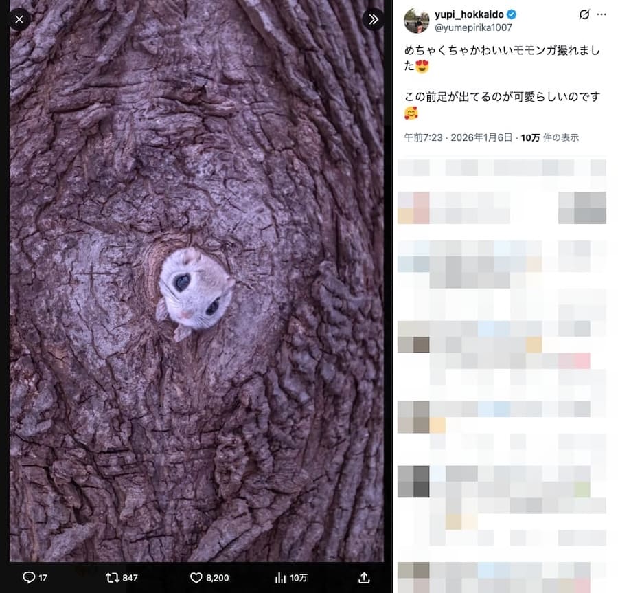 yupi_hokkaidoの投稿