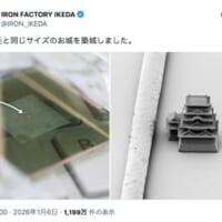 世界最小クラスのお城が現る 髪の毛サイズの「ナノ福山城」に騒然