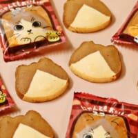 最大の特徴は、2種類の生地を組み合わせて表現された「はちわれ模様」