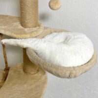 時々足を出したりしまったり