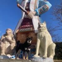 桃太郎のお供に2匹目の犬?像の前で凛々しいポーズを披露する柴犬さん