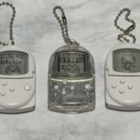 入手したのはすべてトロ！