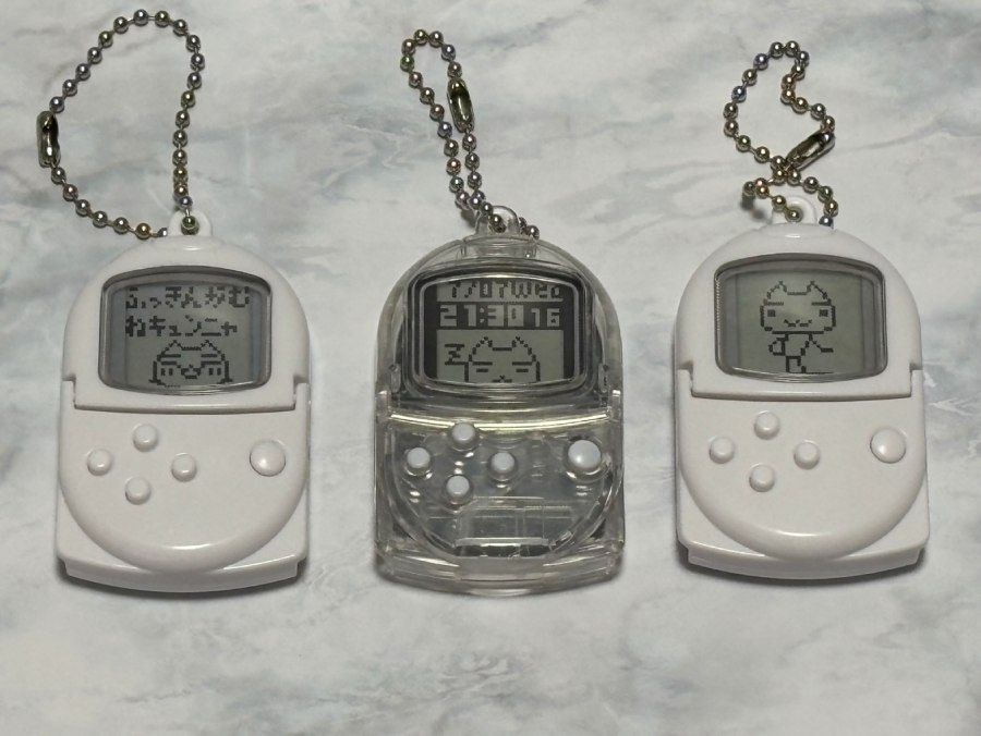 入手したのはすべてトロ!