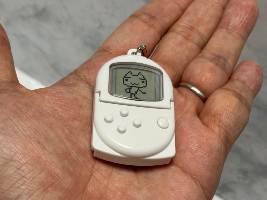 本物のポケステよりも一回り小さいサイズ感