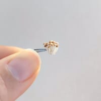 刺繍糸を固めたら「ぶなしめじ」になった リアルすぎる立体作品が話題