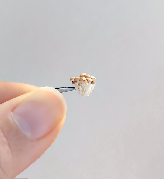 刺繍糸を固めたら「ぶなしめじ」になった リアルすぎる立体作品が話題