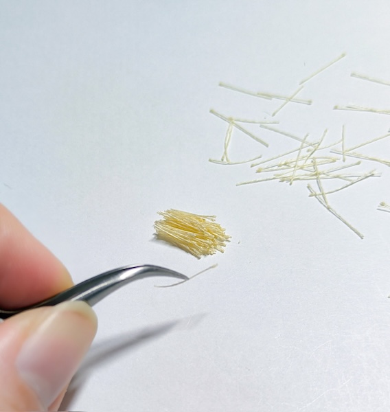 椿の花芯が発想のきっかけ