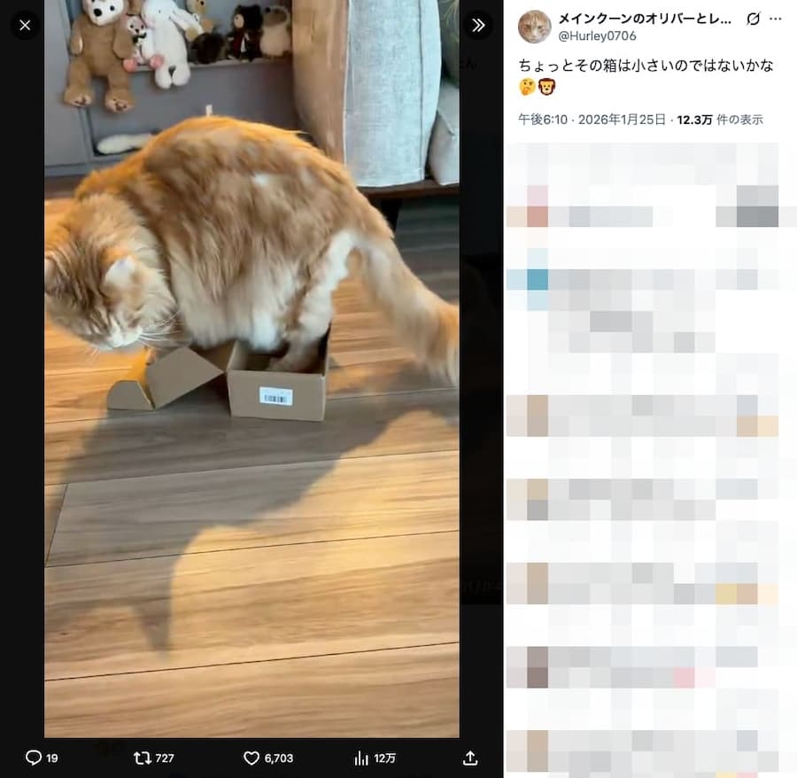 飼い主さんの投稿