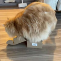 箱のサイズが小さすぎる